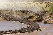 MASAI MARA SAFARIS & TOURS KENYA