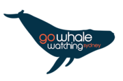 Go Whale Watching