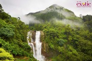  Best Sri Lanka Holiday Packages Online